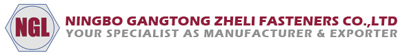 Ningbo Gangtong Zheli Fasteners: 20 urte baino gehiago fabrikazio profesionalean, Global Fastener Hornikuntza Katea indartuz